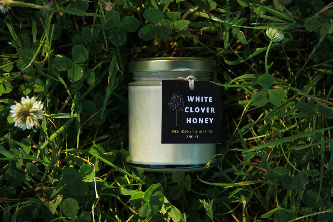 White Clover Honey - 250g